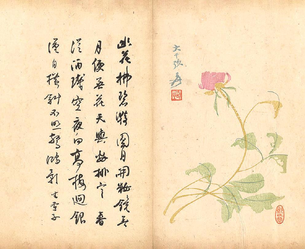 文汇报