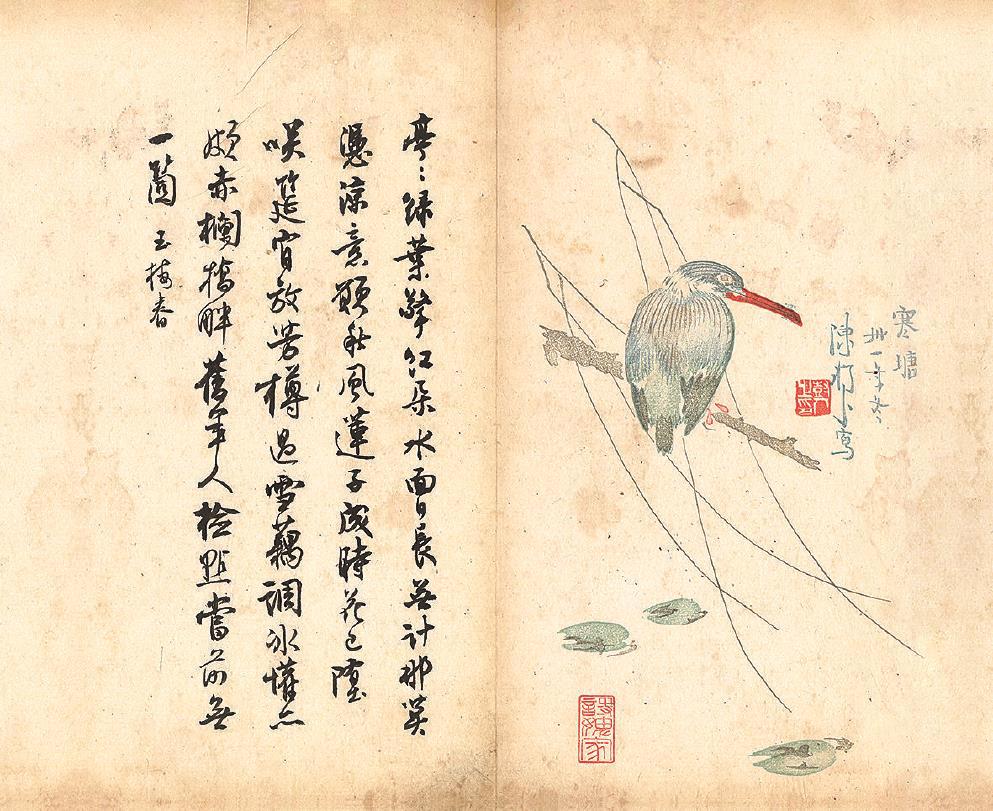 文汇报